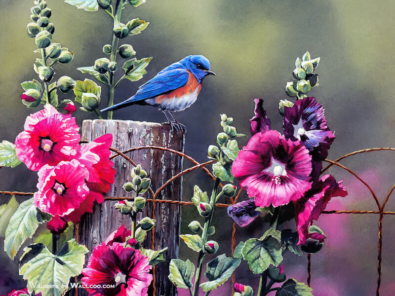 Bluebird on Wooden Post — Blue