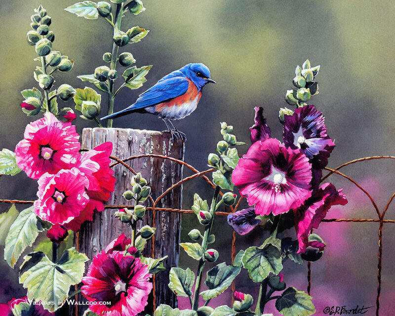 Bluebird on Wooden Post