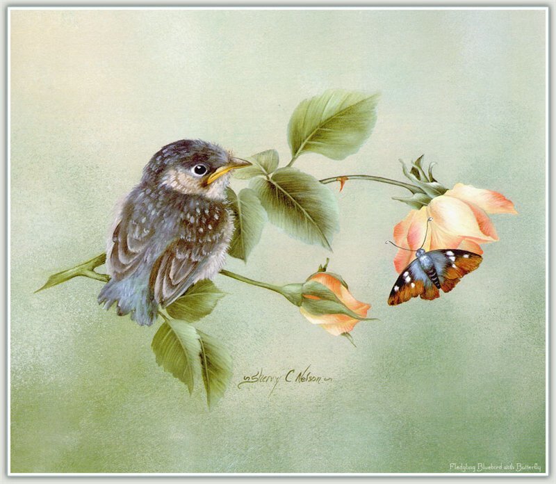 Bluebird with Butterfly