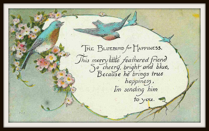 Bluebird with Flowers