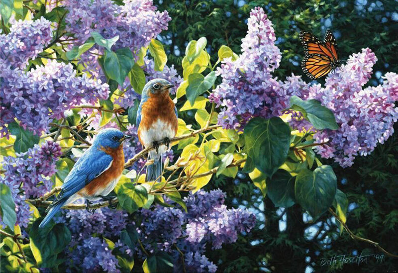Bluebirds and Butterfly