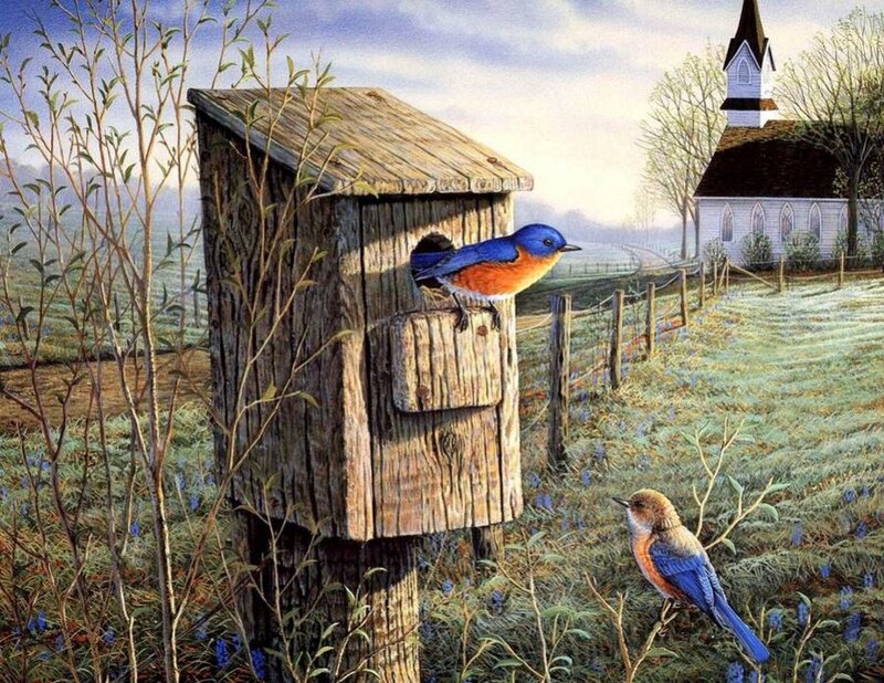 Bluebirds at Birdhouse — Blue, Serene