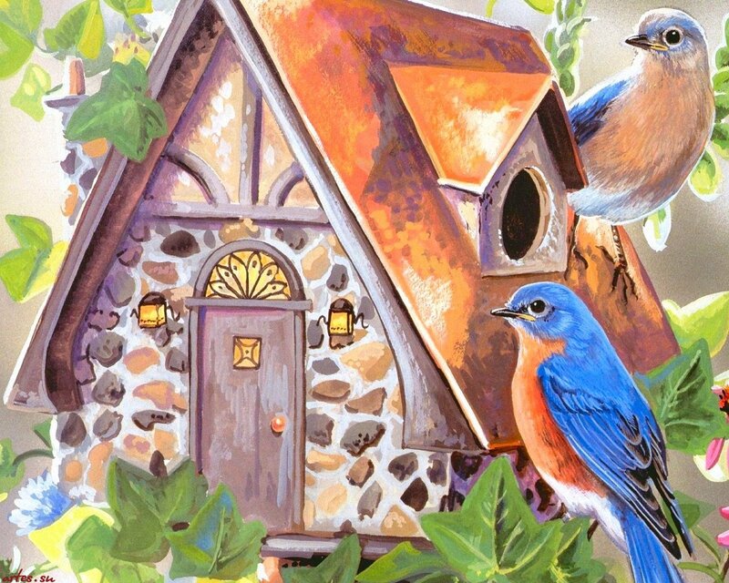 Bluebirds at Birdhouse — Blue