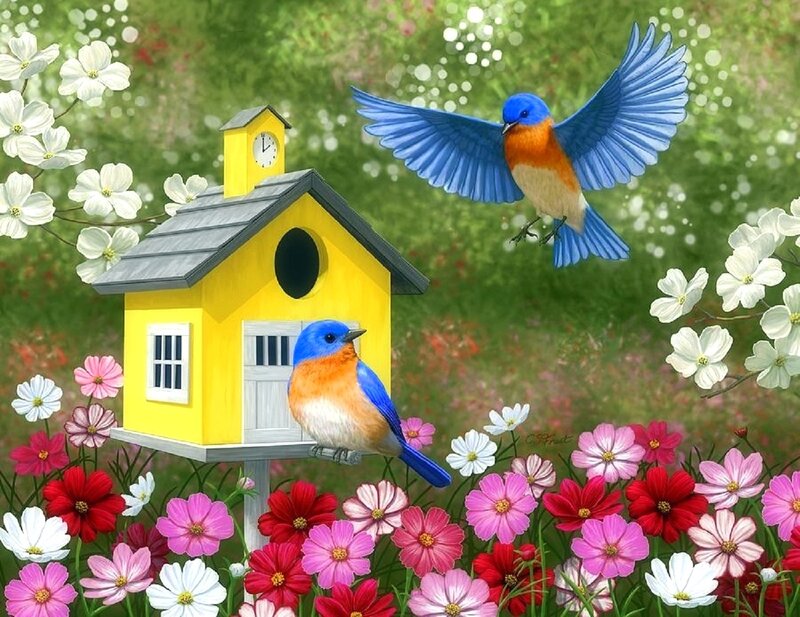 Bluebirds at Birdhouse — Yellow