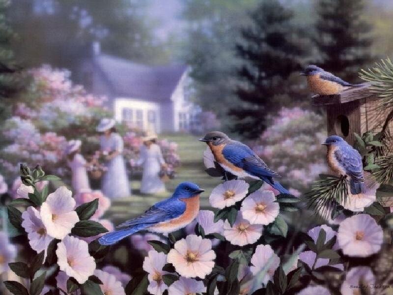Bluebirds in a garden scene