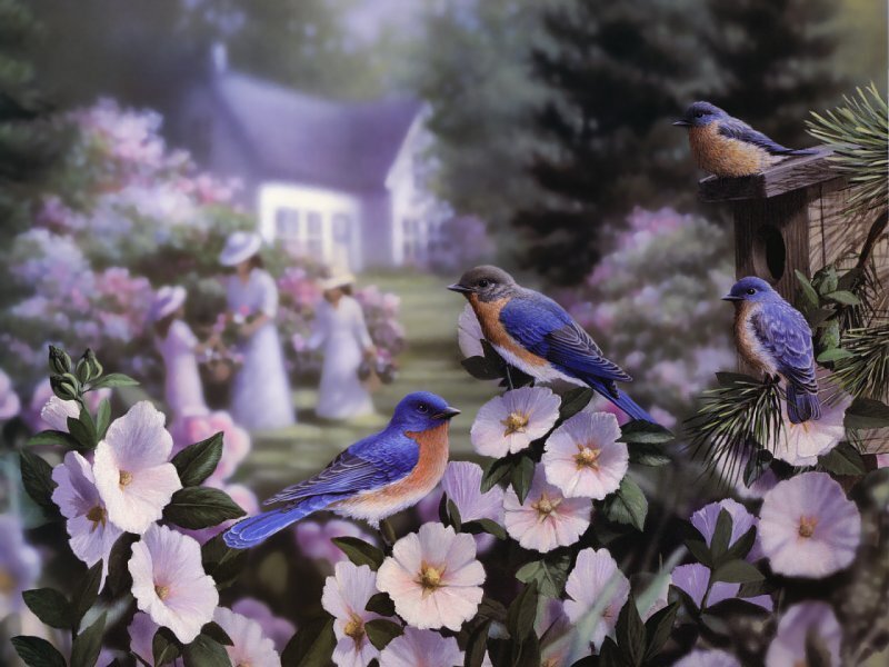 Bluebirds in Garden — Blue, Serene