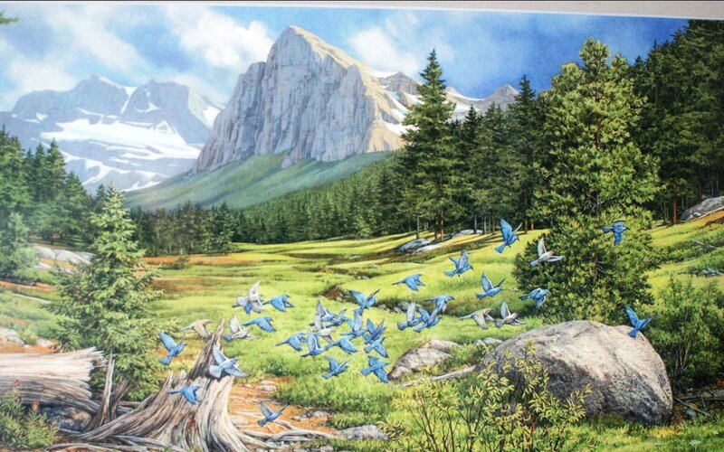 Bluebirds in Meadow