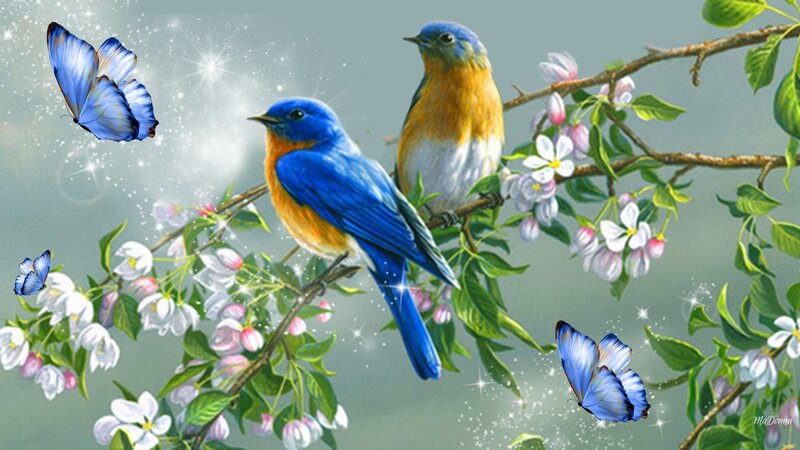 Bluebirds on Blossoming Branch — Blue