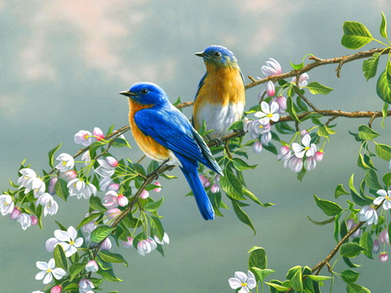 Bluebirds on Blossoming Branch