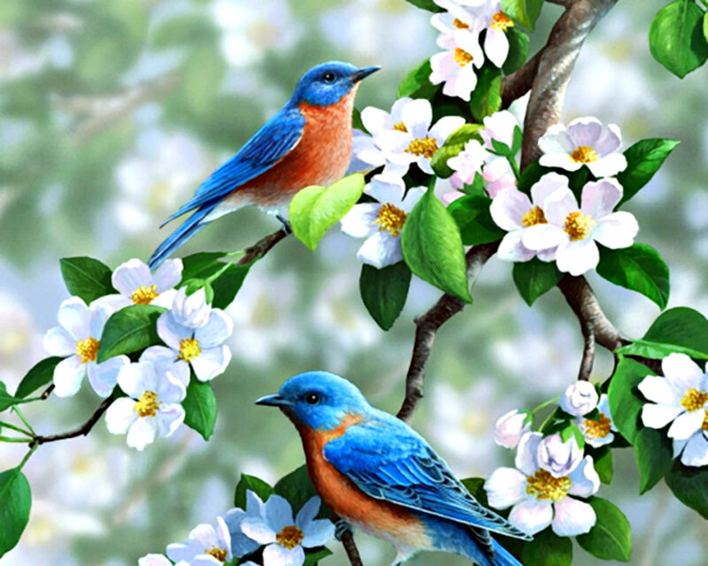 Bluebirds on Blossoms — Blue