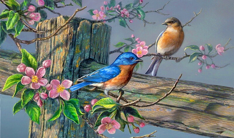Bluebirds on Blossoms