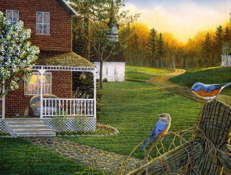 Bluebirds on Fence