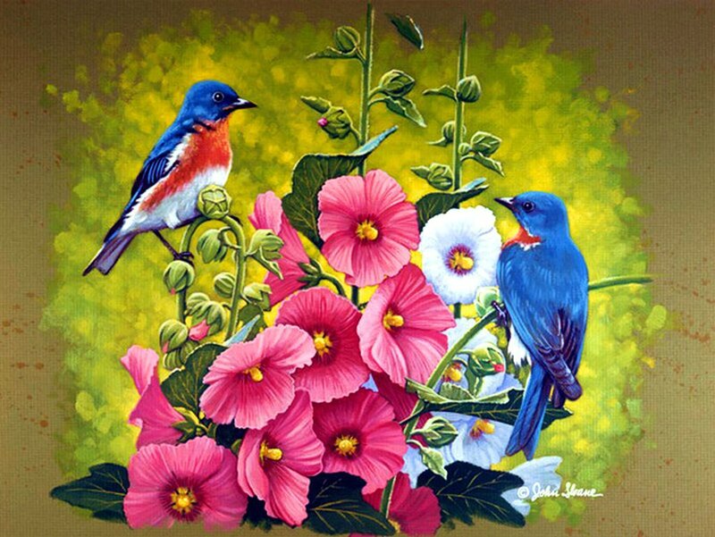 Bluebirds on Flowers