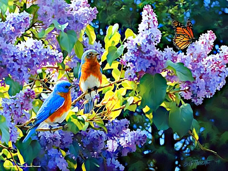 Bluebirds on Lilac