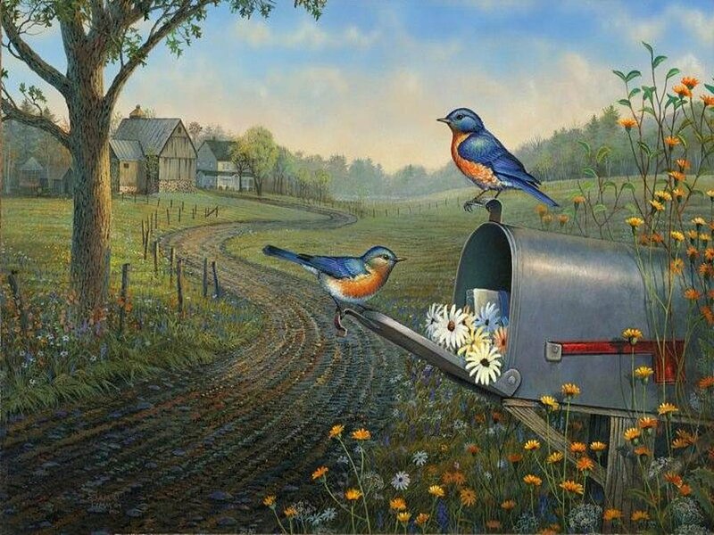 Bluebirds on Mailbox — Blue, Serene, Morning