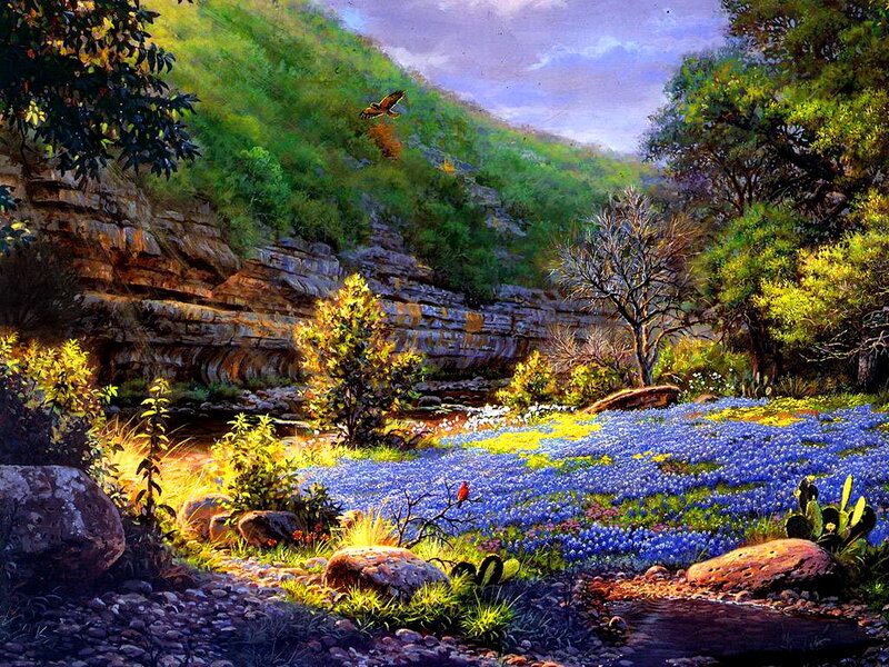 Bluebonnet Field in Canyon — Blue