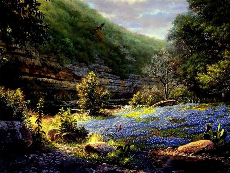 Bluebonnet Field in Canyon