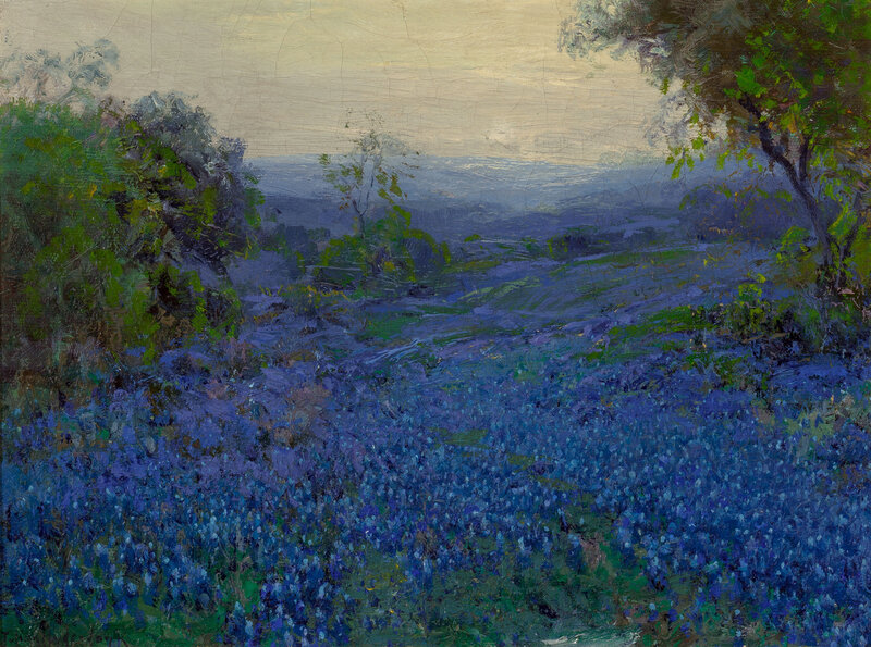 Bluebonnet Field Landscape — Blue