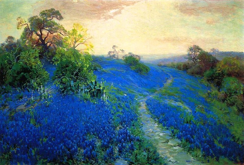 Bluebonnet Field Landscape