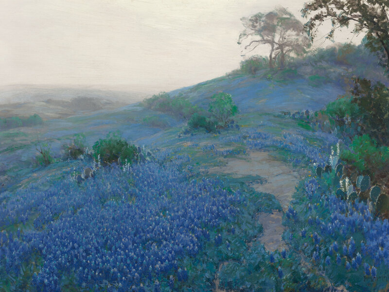 Bluebonnet Field on Hillside — Blue