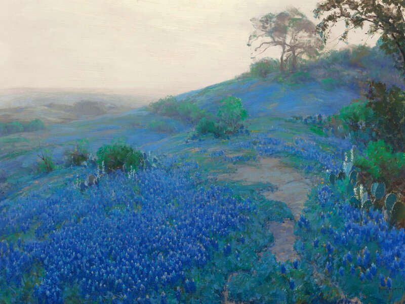 Bluebonnet Field on Hillside