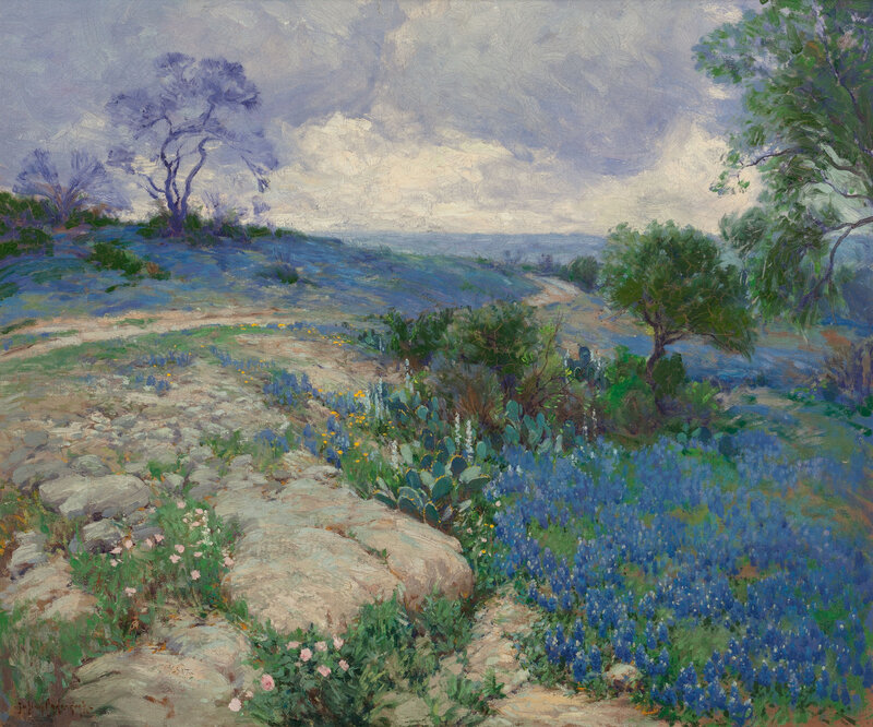 Bluebonnet Field with Cactus