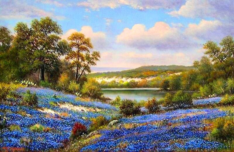 Bluebonnet Field with Lake