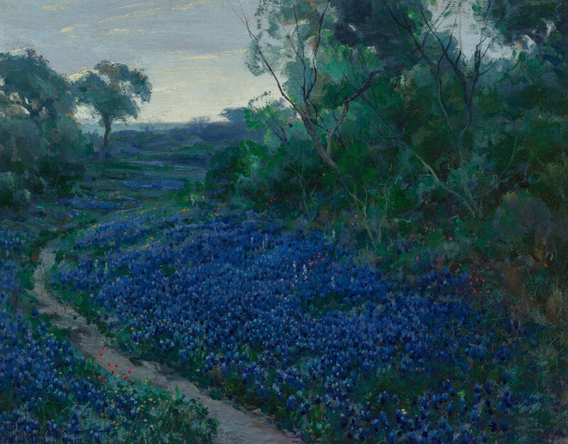 Bluebonnet Field with Path