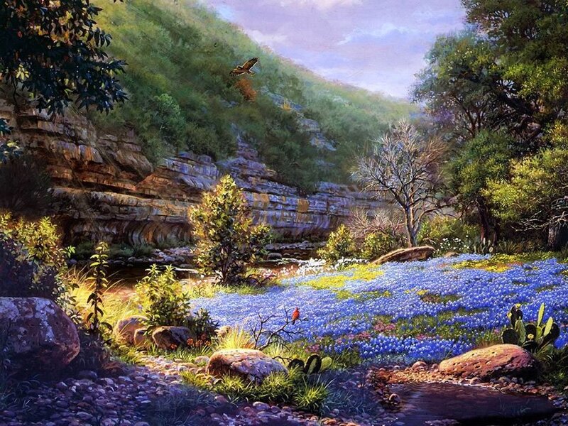 Bluebonnet Field with Stream — Blue