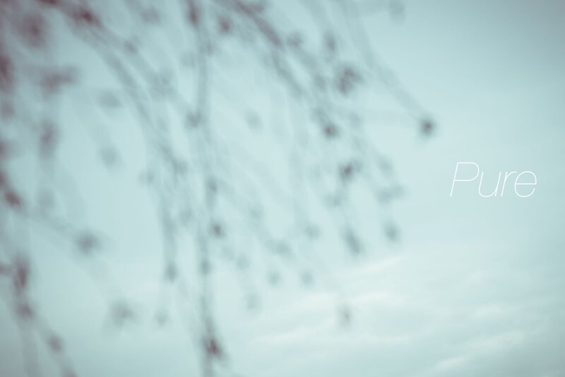 Blurred branches with text