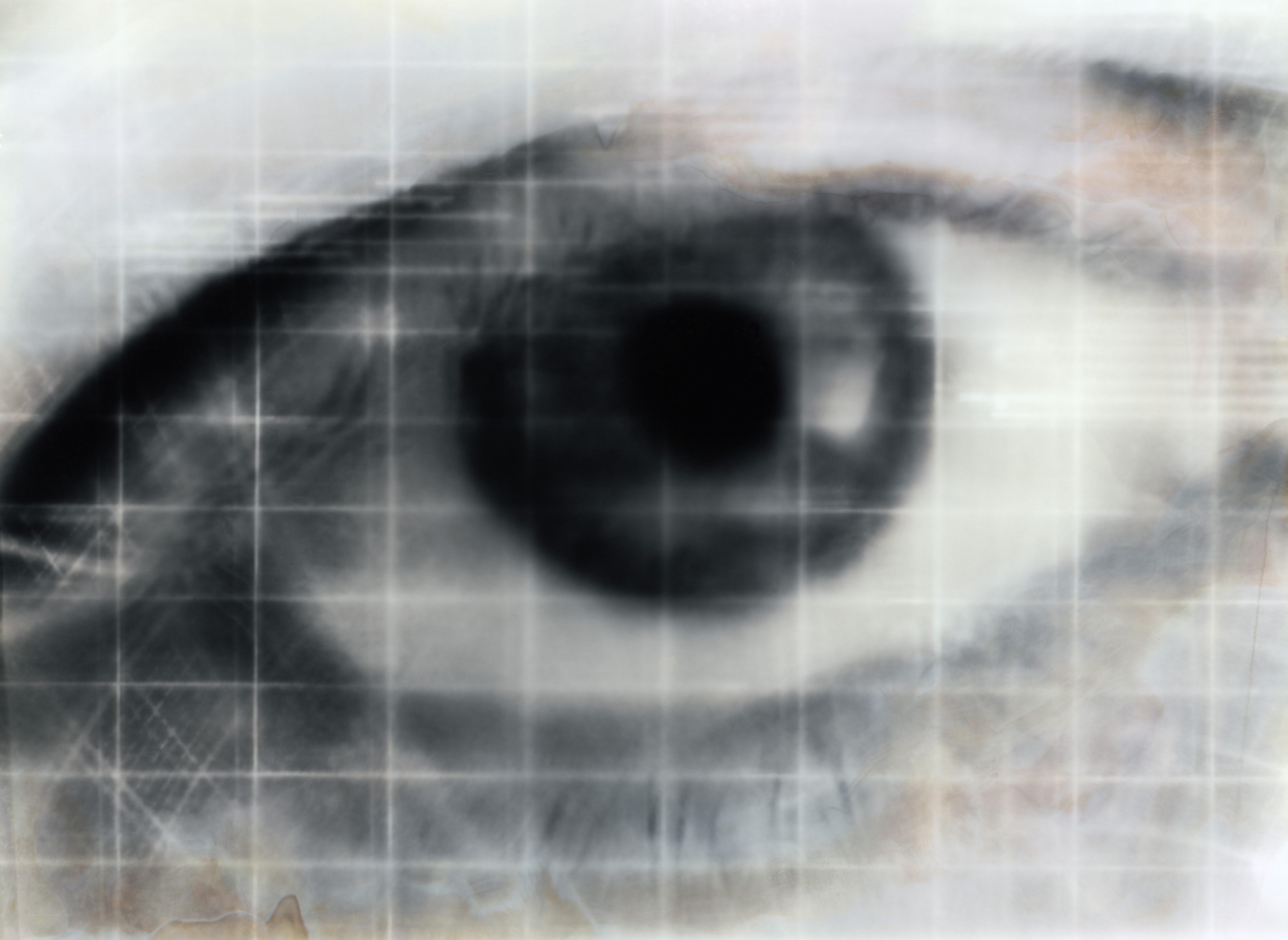 Blurred eye with grid overlay