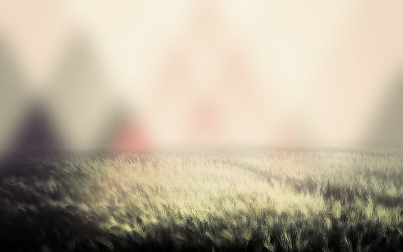 Blurred field at dawn