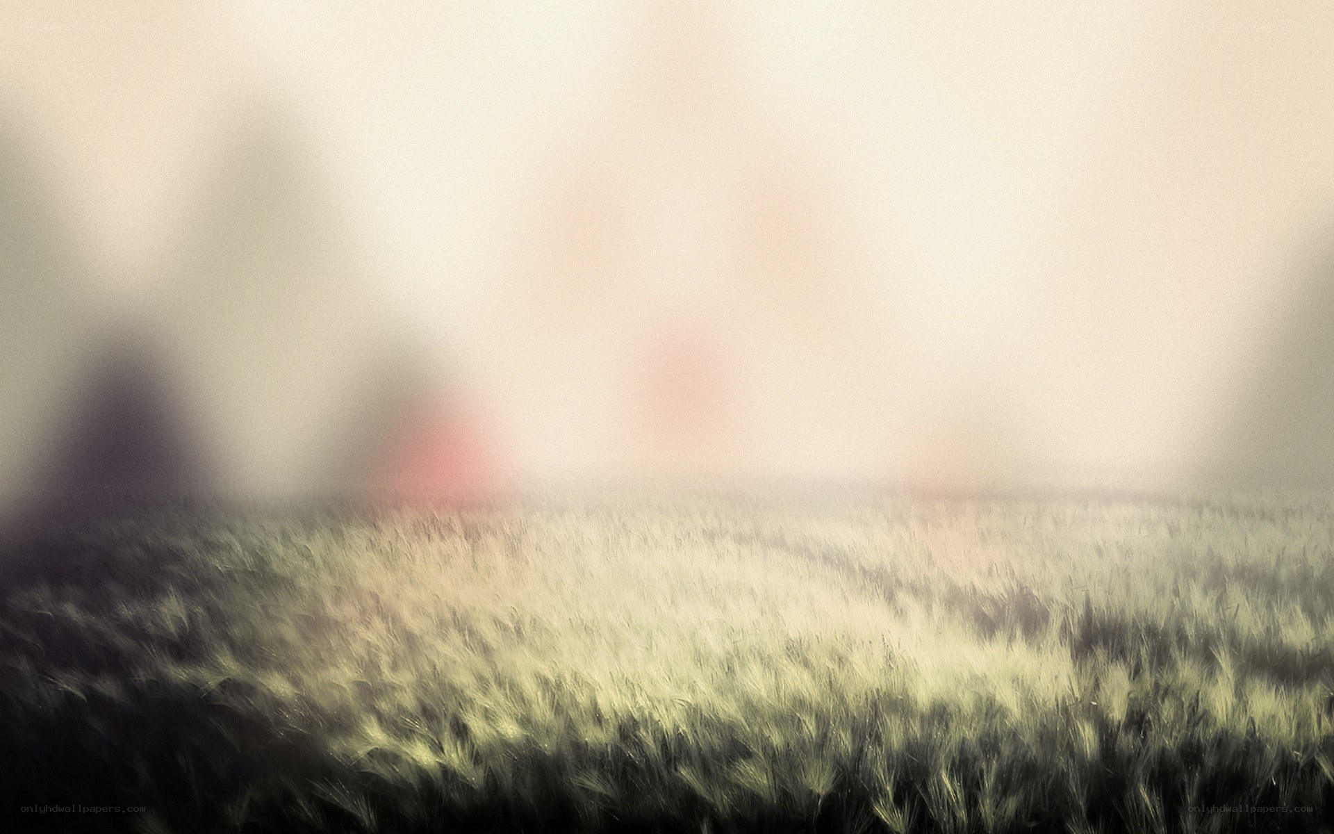 Blurred field with distant figures