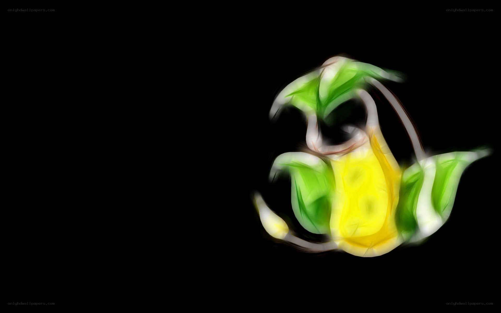 blurred flower on black
