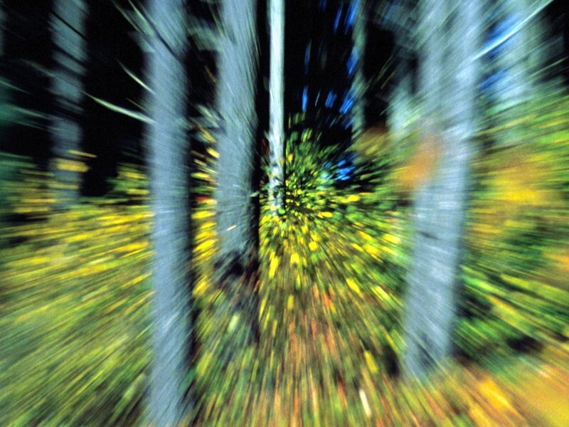 Blurred forest motion effect