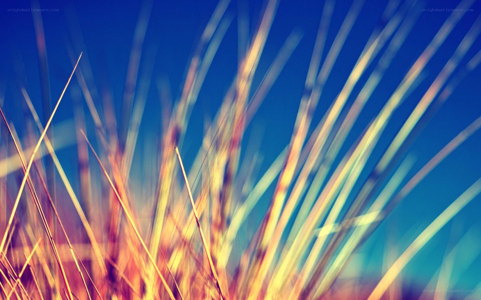 Blurred grass against blue sky