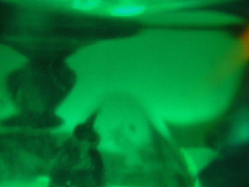 Blurred Green Underwater Scene