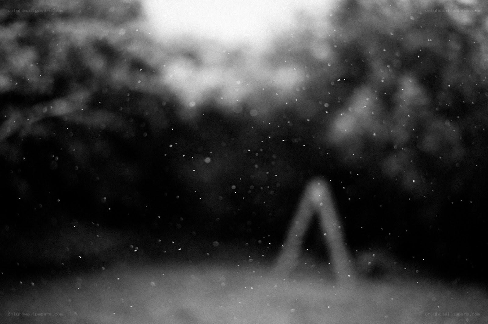 Blurred outdoor scene with particles