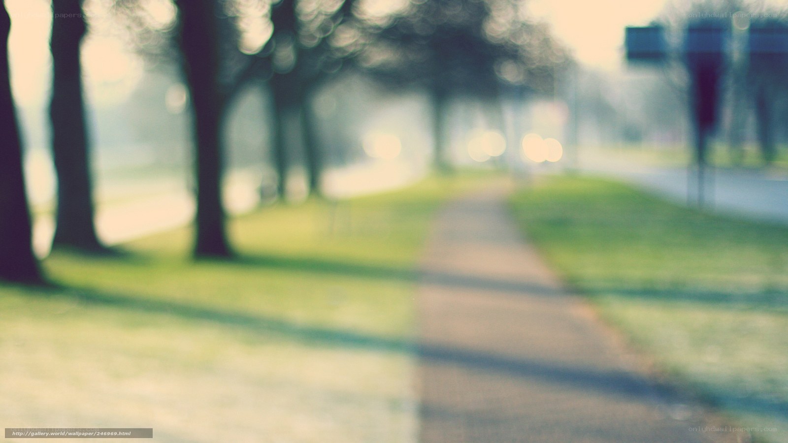 Blurred park pathway