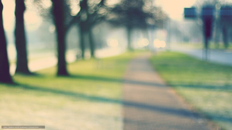 Blurred Park Pathway — Green