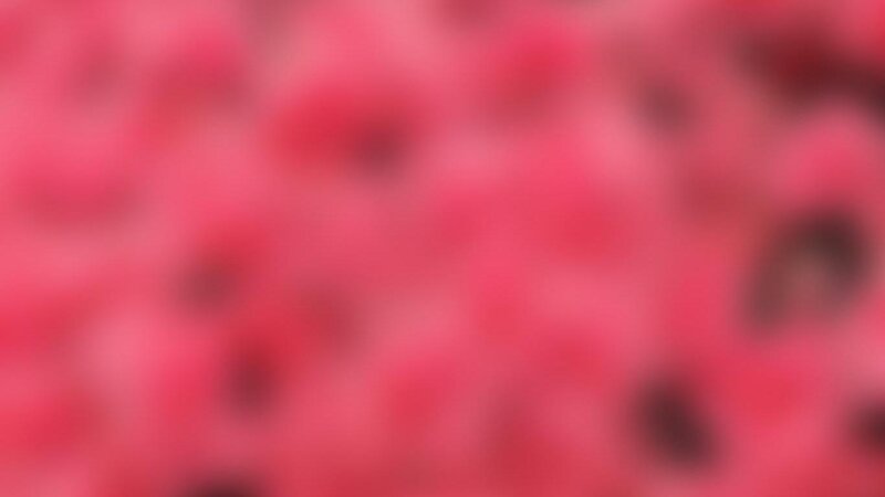 Blurred Pink Shapes