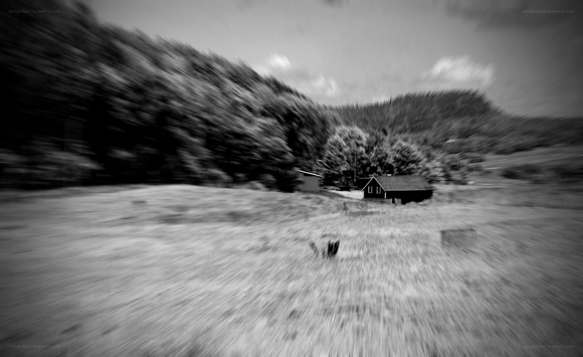 Blurred rural landscape with cabin