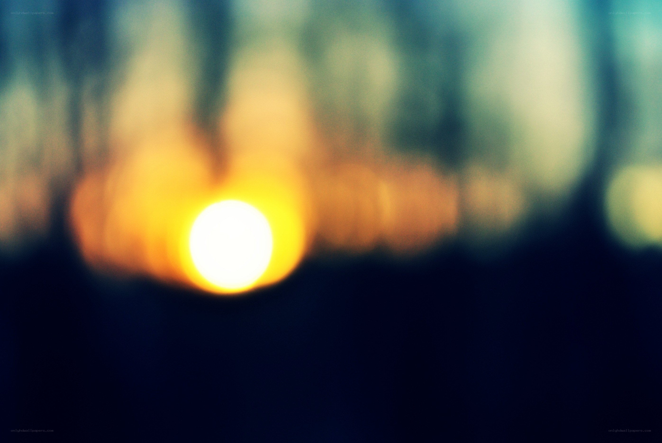 Blurred sunset in the forest