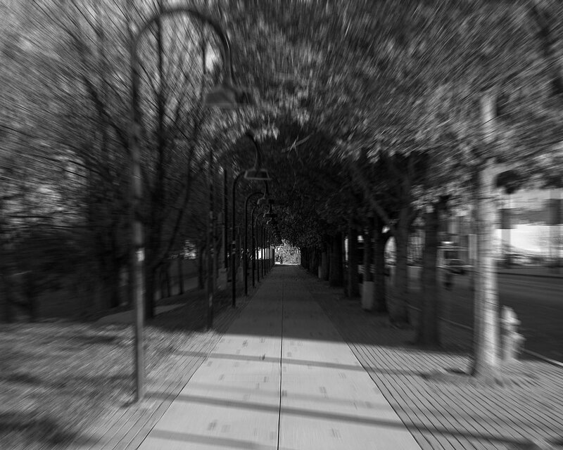 Blurred tree-lined walkway