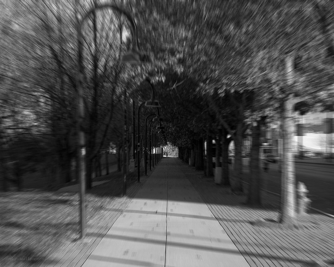 Blurred tree-lined walkway
