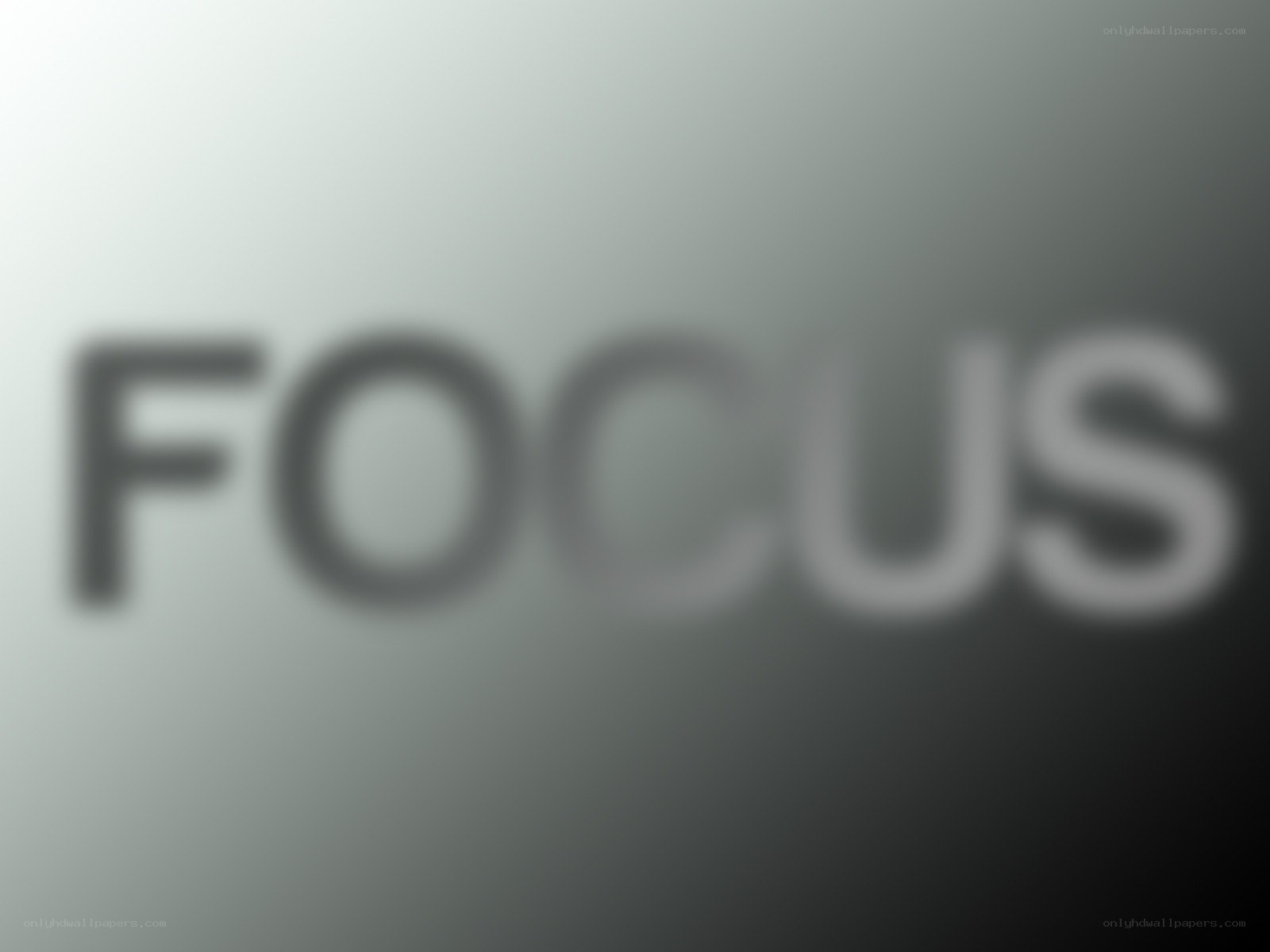 Blurred word focus