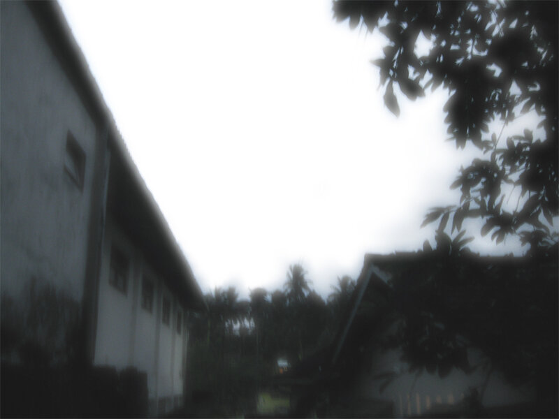 Blurry Building and Trees