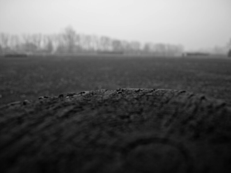 blurry field with wooden log