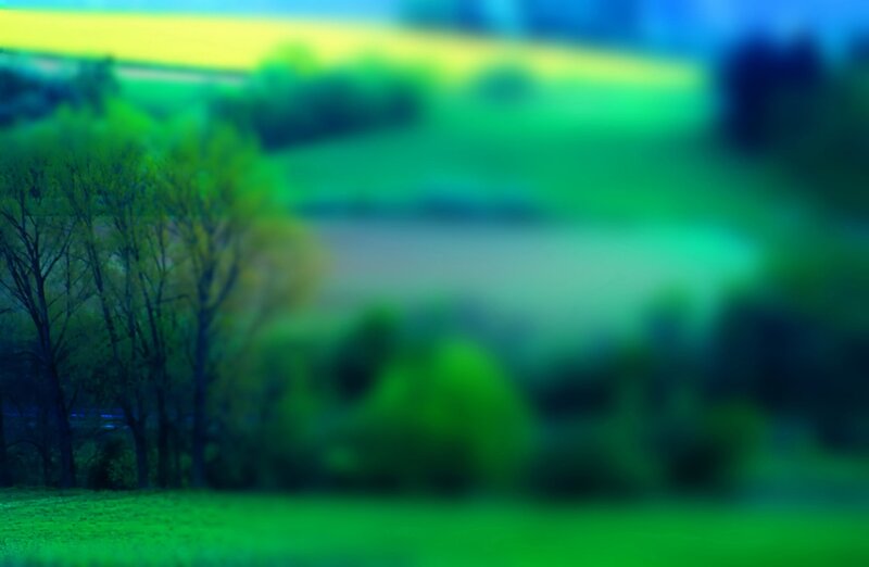 Blurry Green Landscape — Serene