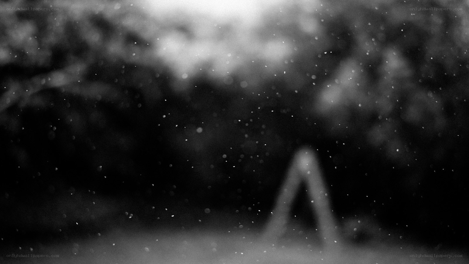 blurry outdoor scene with particles